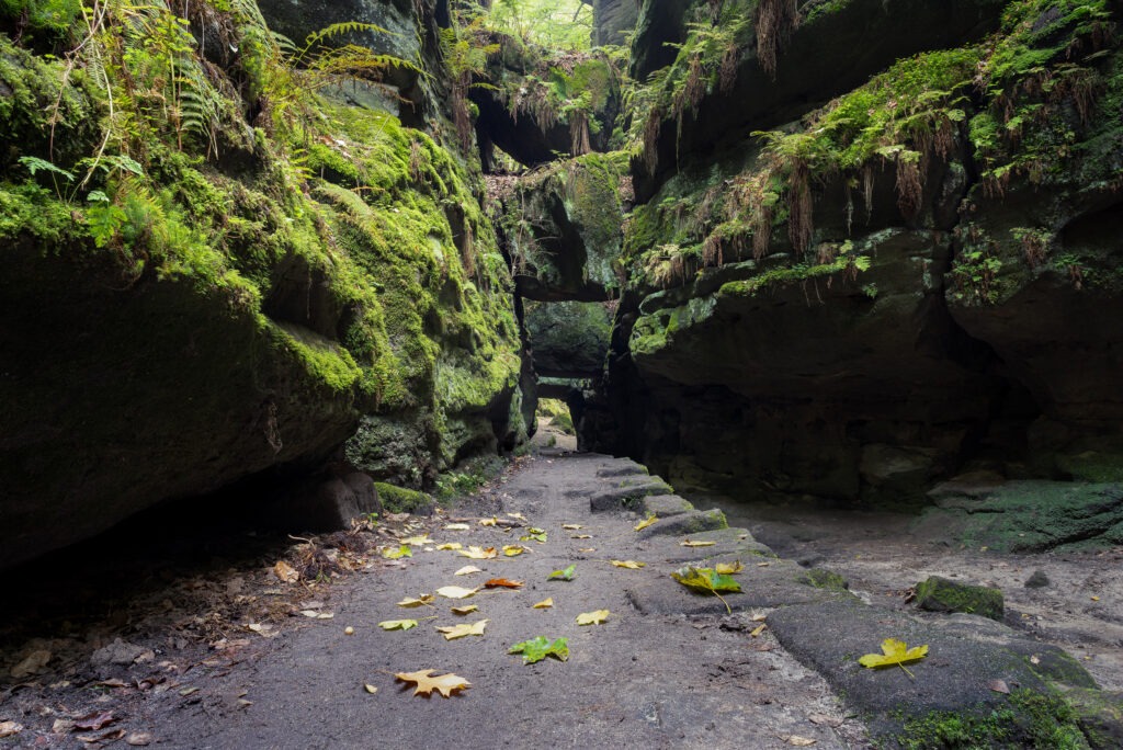Wanderung durch den Uttewalder Grund in der Sächsischen Schweiz