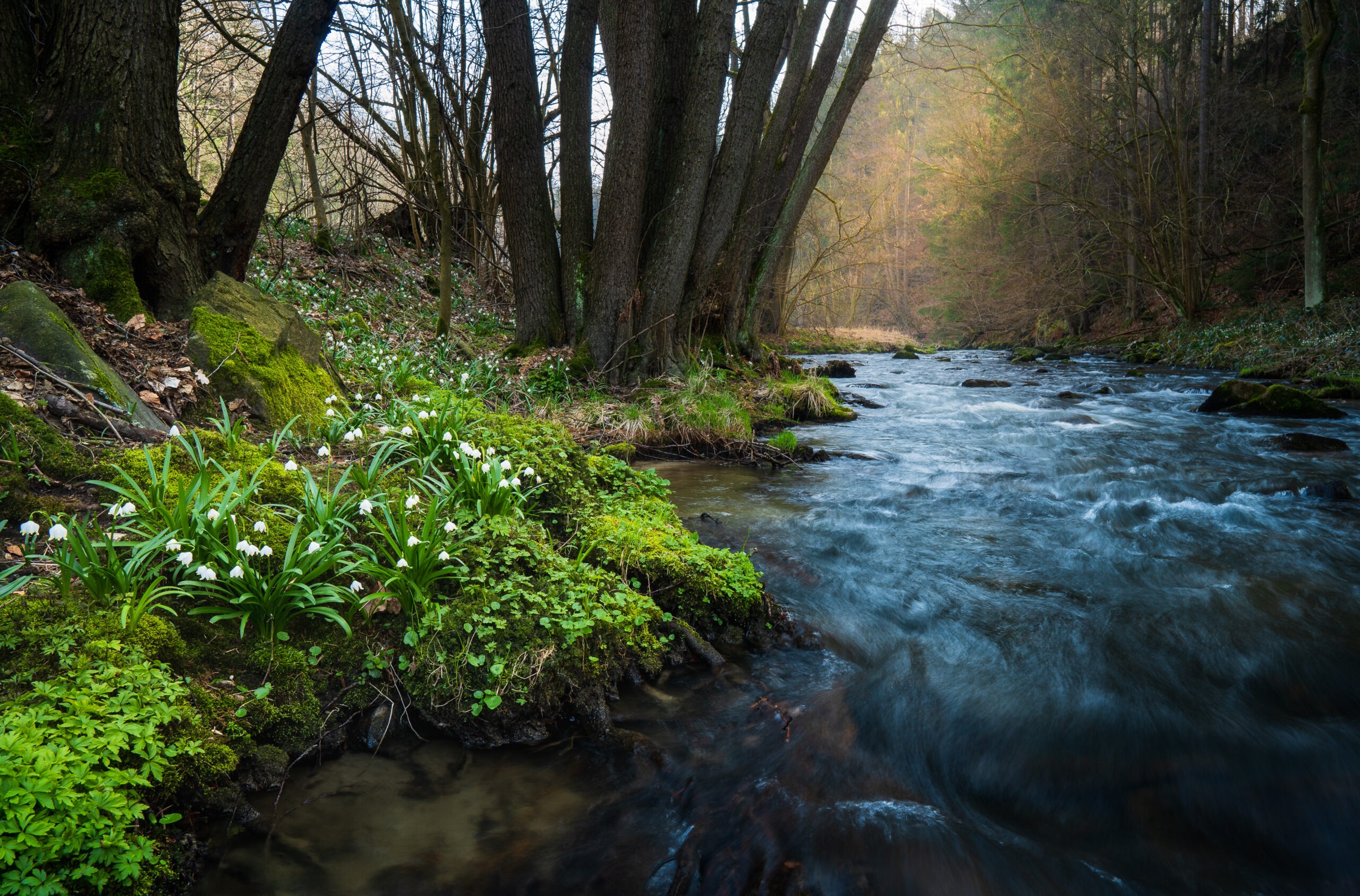 Wandern im Fruehling in der Saechsischen Schweiz